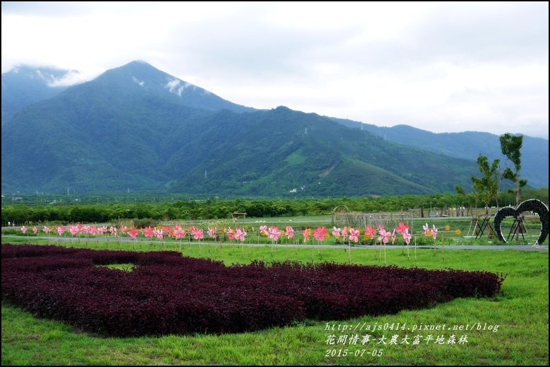 2015-07-大農大富平地森林13.jpg