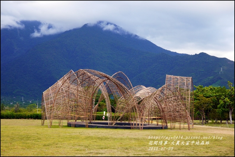 2015-07-大農大富平地森林17.jpg