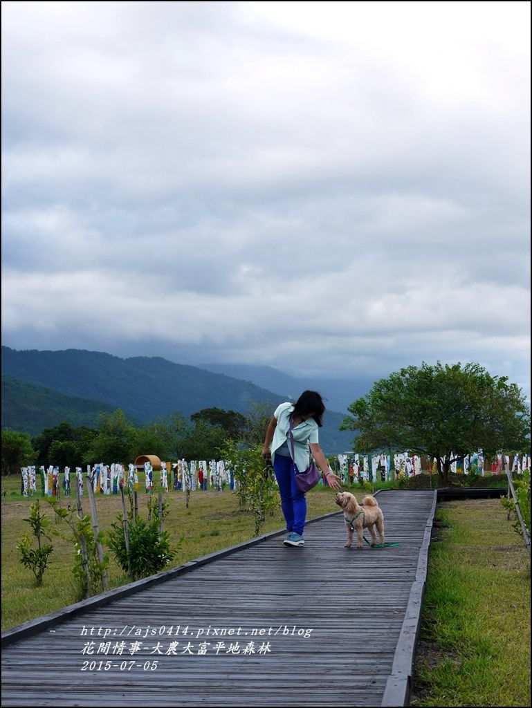 2015-07-大農大富平地森林20.jpg