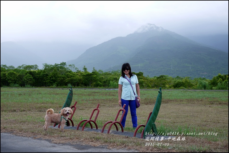 2015-07-大農大富平地森林27.jpg