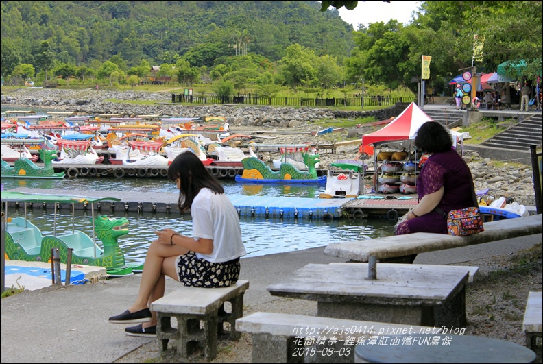 2015-鯉魚潭紅面鴨FUN暑假2.jpg