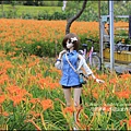 2015-赤柯山金針花季47.jpg