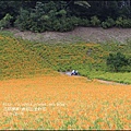 2015-赤柯山金針花季50.jpg