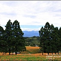 2015-赤柯山金針花季53.jpg