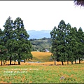 2015-赤柯山金針花季54.jpg
