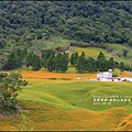 2015-赤柯山金針花季80.jpg