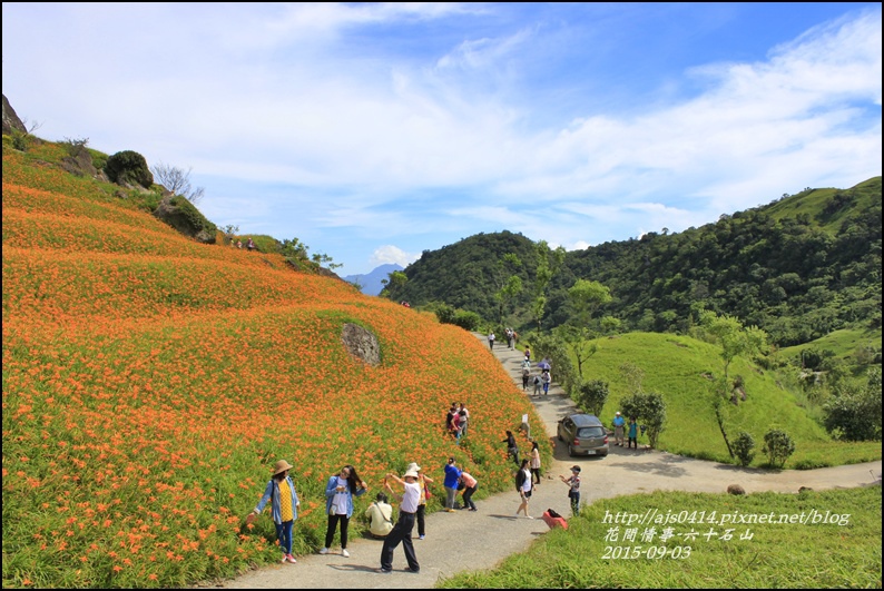 2015-六十石山金針花27.jpg