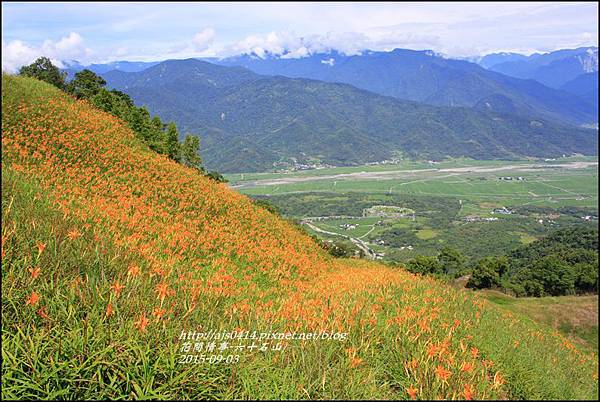 2015-六十石山金針花28.jpg