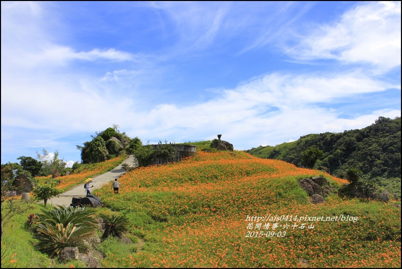 2015-六十石山金針花33.jpg