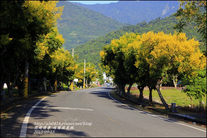 2015-09-溫泉路台灣欒樹2.jpg