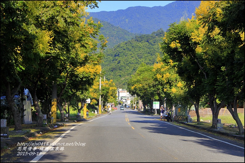 2015-09-溫泉路台灣欒樹10.jpg