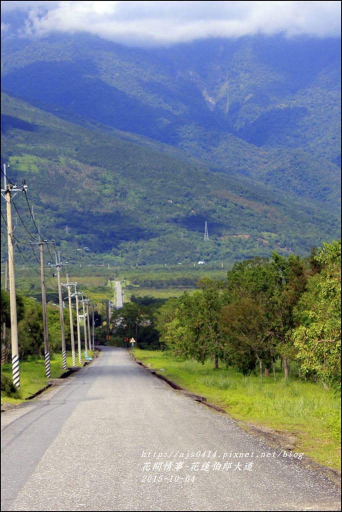 2015-10-花蓮伯朗大道1.jpg 2015-10-花蓮伯朗大道1.jpg