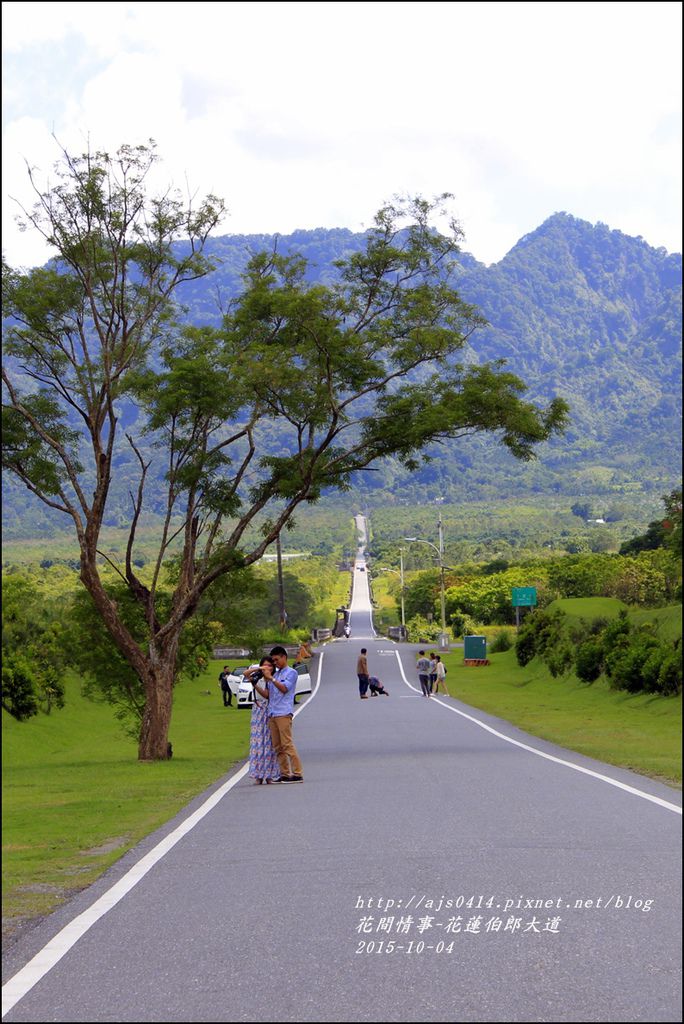 2015-10-花蓮伯朗大道5.jpg 2015-10-花蓮伯朗大道5.jpg