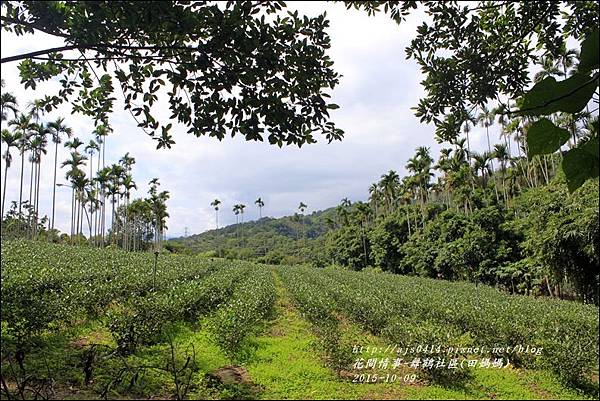 2015-舞鶴社區(田媽媽)19.jpg