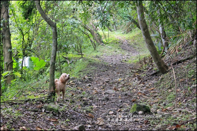 2015-米棧古道25.jpg