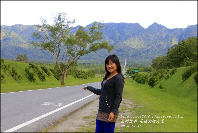 2015-10-花蓮伯朗大道7.jpg 2015-10-花蓮伯朗大道7.jpg