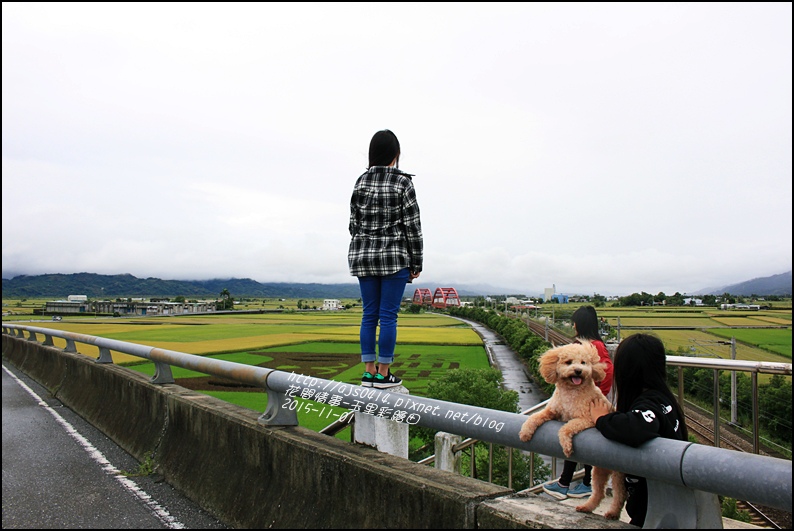 玉里客城彩繪田14.jpg