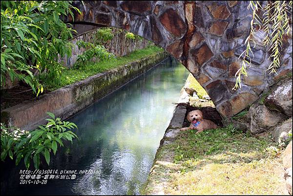 2015-10-富興水圳公園9.jpg