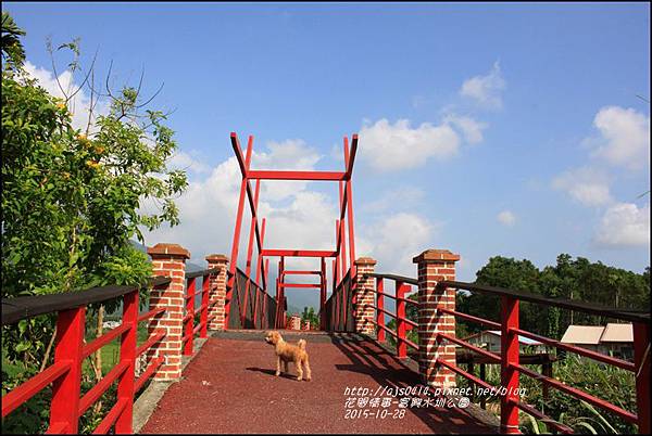 2015-10-富興水圳公園18.jpg