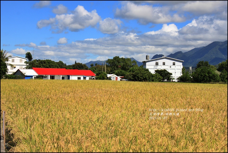 2015-11-伯朗大道27.jpg