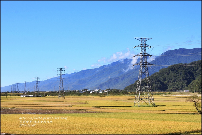 2015-11-池上金色大地1.jpg