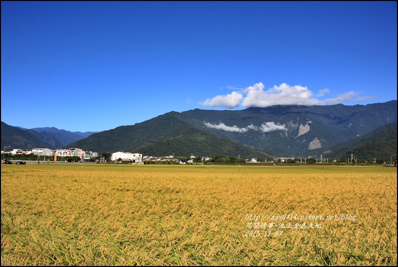 2015-11-池上金色大地3.jpg