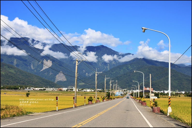 2015-11-池上金色大地5.jpg