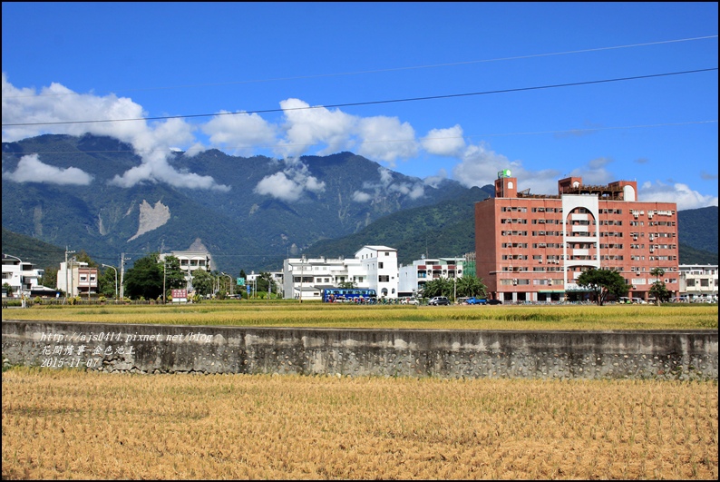 2015-11-池上金色大地11.jpg