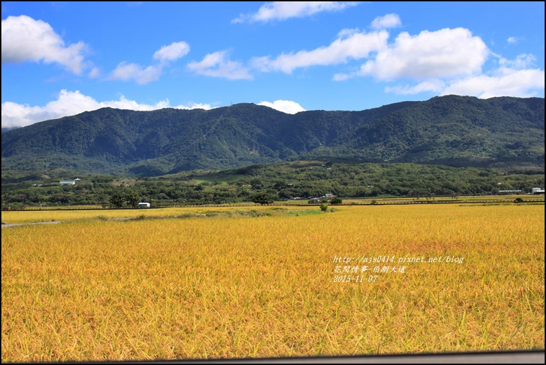 2015-11-伯朗大道25.jpg