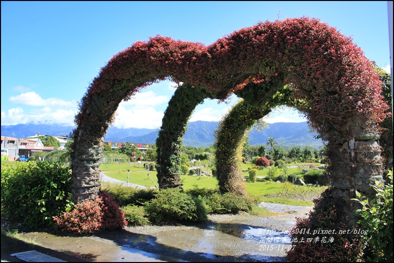 2015-11-池上四季花海1.jpg