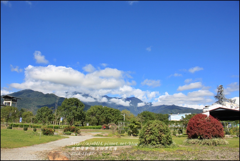 2015-11-池上四季花海4.jpg