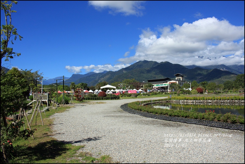 2015-11-池上四季花海7.jpg