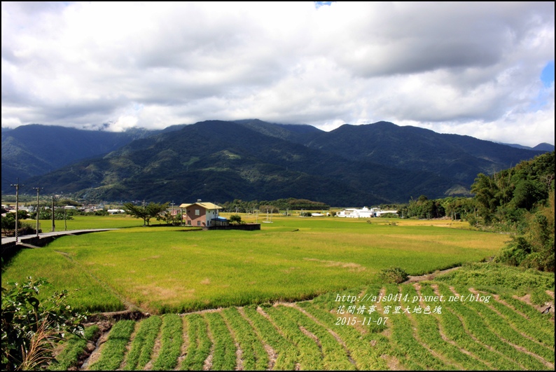 2015-富里大地色塊8.jpg