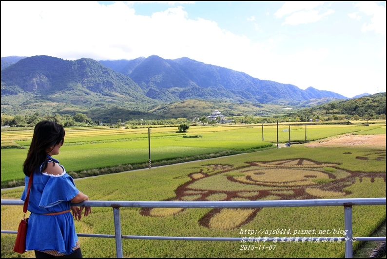 2015-富里彩繪田5.jpg