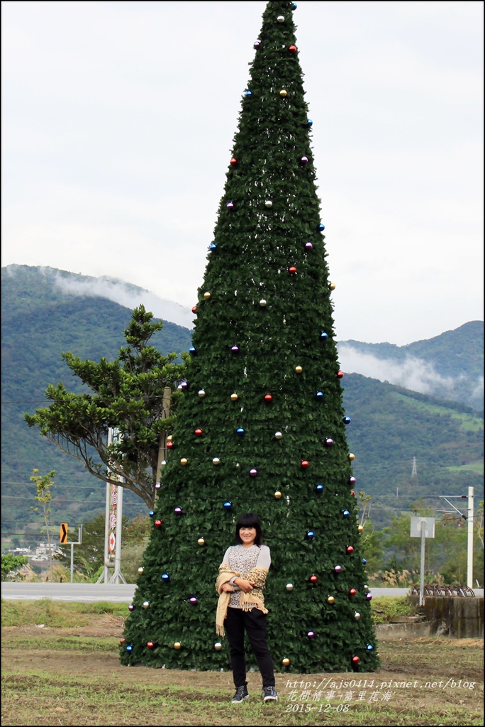 2015-12-富里花海13.jpg