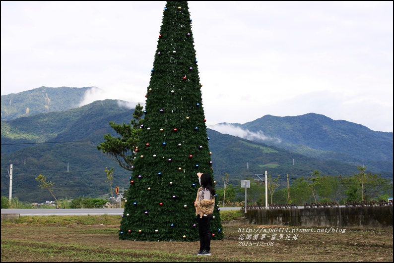 2015-12-富里花海14.jpg