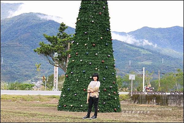 2015-12-富里花海15.jpg