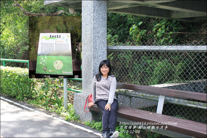 2015-12-關山縱觀日月亭16.jpg