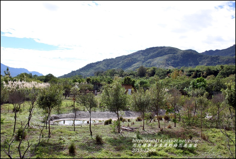 2015-12-鹿野梅花鹿園區2.jpg