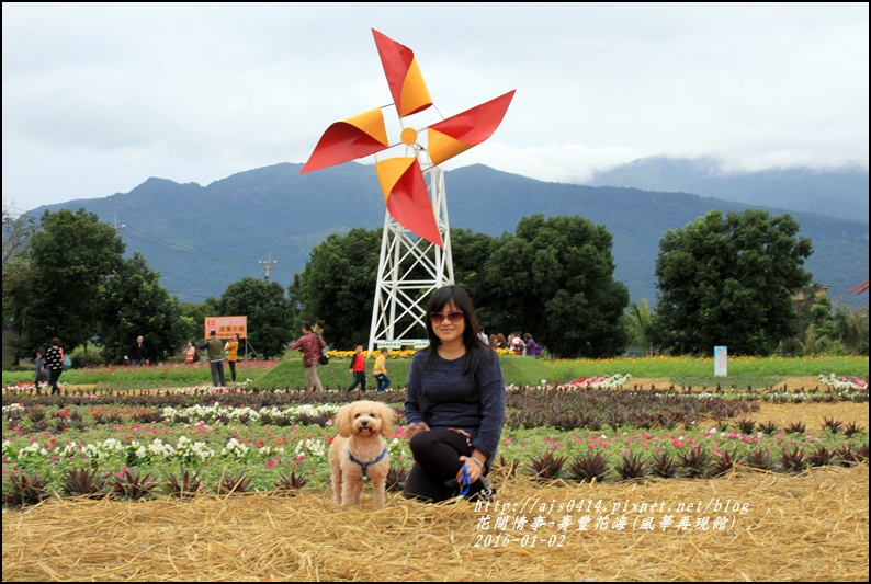 2016-01-壽豐花海(豐華再現館)3.jpg 2016-01-壽豐花海(豐華再現館)3.jpg