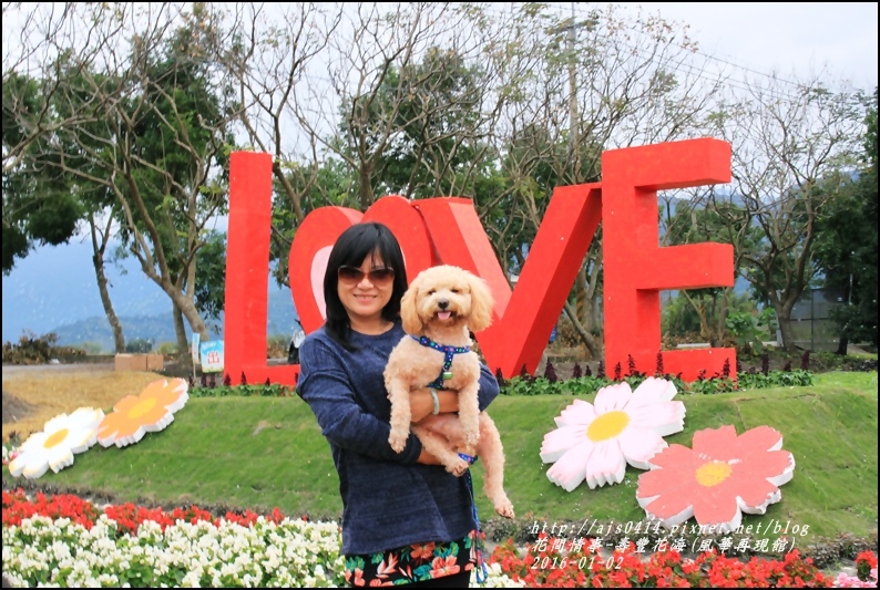 2016-01-壽豐花海(豐華再現館)5.jpg 2016-01-壽豐花海(豐華再現館)5.jpg