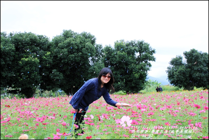 2016-01-壽豐花海(豐華再現館)8.jpg