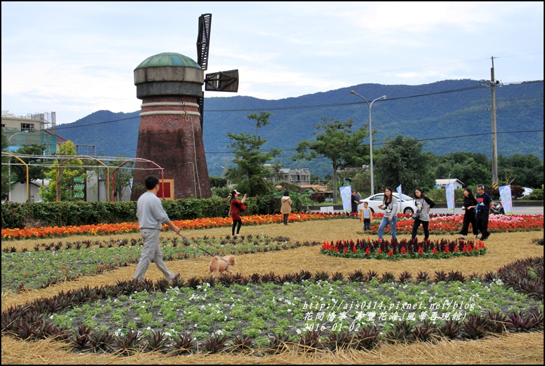 2016-01-壽豐花海(豐華再現館)11.jpg 2016-01-壽豐花海(豐華再現館)11.jpg