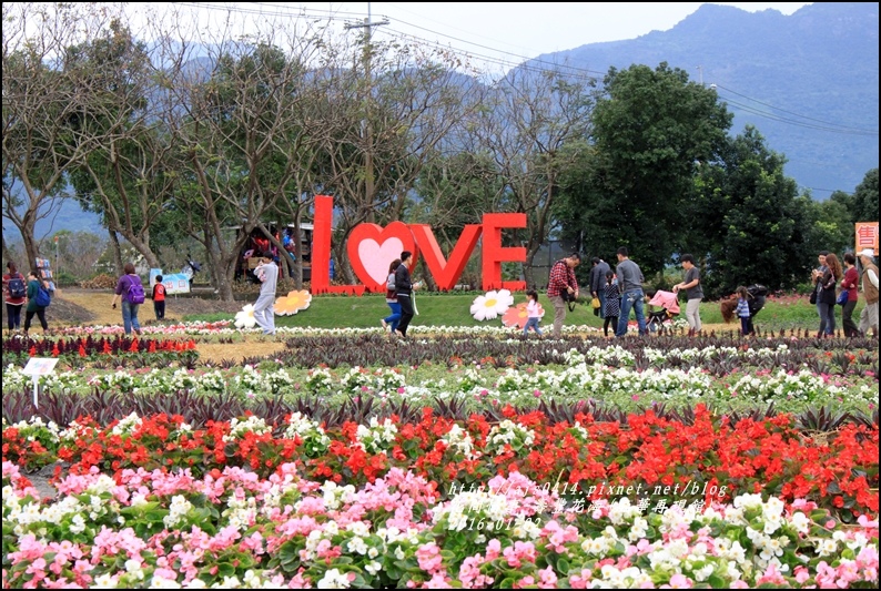 2016-01-壽豐花海(豐華再現館)12.jpg 2016-01-壽豐花海(豐華再現館)12.jpg