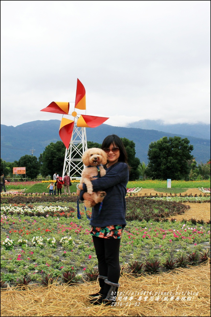 2016-01-壽豐花海(豐華再現館)14.jpg 2016-01-壽豐花海(豐華再現館)14.jpg