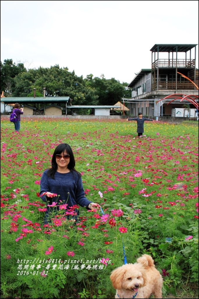 2016-01-壽豐花海(豐華再現館)15.jpg 2016-01-壽豐花海(豐華再現館)15.jpg