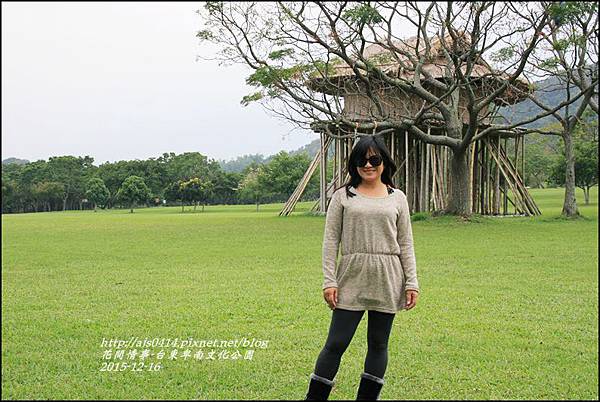 2015-12-台東卑南文化公園11.jpg