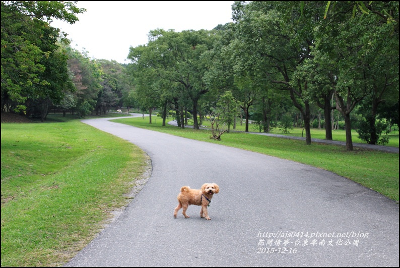 2015-12-台東卑南文化公園16.jpg