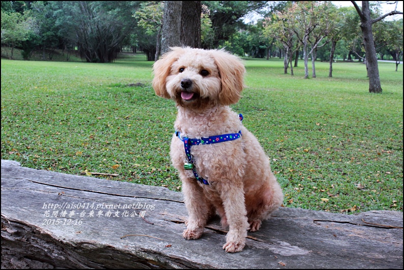 2015-12-台東卑南文化公園19.jpg