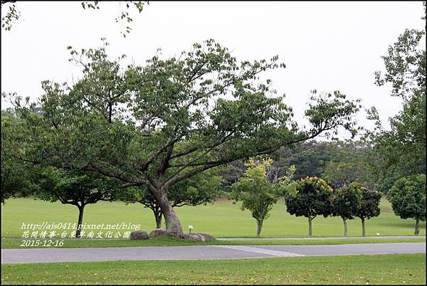 2015-12-台東卑南文化公園18.jpg